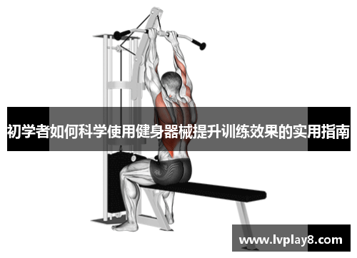 初学者如何科学使用健身器械提升训练效果的实用指南