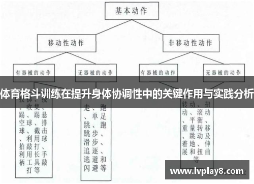 体育格斗训练在提升身体协调性中的关键作用与实践分析