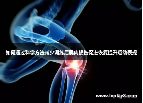 如何通过科学方法减少训练后肌肉损伤促进恢复提升运动表现