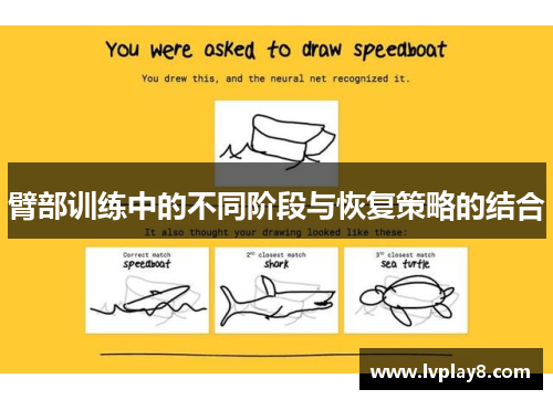 臂部训练中的不同阶段与恢复策略的结合